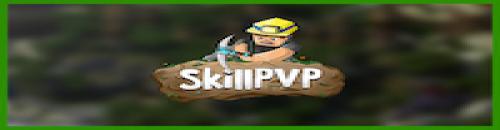 SKILLPVP | Faction / PVPBox / Duels sous Launcher